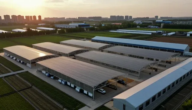 沧州希讯网络科技有限公司打造智能化网络技术咨询方案