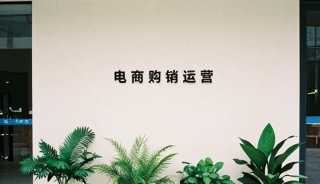 电商数据分析在小程序开发中的实际应用与挑战